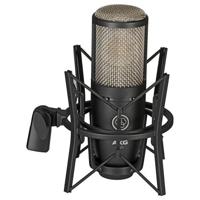 

AKG Acoustics Project Studio P220 Large Diaphragm Condenser Microphone