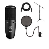 

AKG Acoustics Project Studio P120 Medium Diaphragm Cardioid Condenser Microphone, 20Hz-20kHz Response, Black - Bundle With Ultimate JS-MCTB200 Tripod Microphone Stand, Nady SPF-1 Microphone Pop Filter, XLR M to F Pro Mic Cable 25'