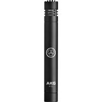 

AKG Acoustics P170 Small Diaphragm Condenser Instrument Microphone