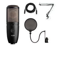 

AKG Acoustics P420 Large Diaphragm Dual-Capsule True Condenser Microphone with Switchable Polar Patterns - Bundle With Technical ARM1 Microphone Crane Arm, Nady SPF-1 Microphone Pop Fil ter, 25' XLR M to XLR F Mic Cable