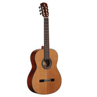 

Alvarez Artist 65 Series Classical Acoustic Guitar, Natural