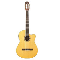 

Alvarez Regent 26 Series Classical Hybrid Electric-Acoustic Guitar with Deluxe Gig Bag, Rosewood Fingerboard, Natural