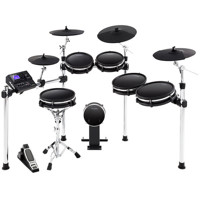 

Alesis DM10 MKII Pro Premium 10-Piece Electronic Drum Kit with Mesh Heads