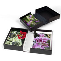 

Archival Methods Onyx 13x19x1-3/8" Portfolio Box, 13.75x19.5", Black Buckram / Black Lining.