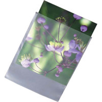 

Archival Methods High-Density Polyethylene Envelopes, Size: 35mm 2x9.5", Pack of 100