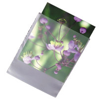 

Archival Methods High-Density Polyethylene Envelopes, Size: 16.50x20.50", Pack of 50