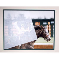 

Archival Methods Archival Tissue, 24x36", 480 Sheets
