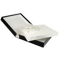 

Archival Methods Onyx Portfolio & Board Combo Kit, 11x14x2", Black