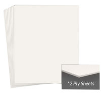 

Archival Methods Conservation Mat Board, 22x28", 2 Ply, Pearl White, Package of 25