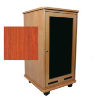 

AmpliVox RC2101 21U Rack Cabinet, Veneer, Cherry