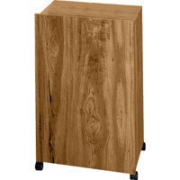 

AmpliVox S260OK Portable Tabletop Lectern & Multimedia Utility Cart Base, Medium Oak