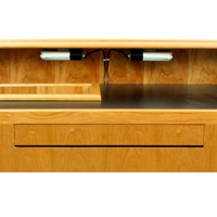

AmpliVox Dual Incandesant Lamp for SW3030 Solid Hardwood Lectern, Soft Bright Light