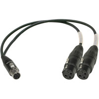 

Ambient Recording 1.31' TA-5 Female to Two XLR 3-Pin Female Adapter Cable for Zaxcom-Compatible Wiring