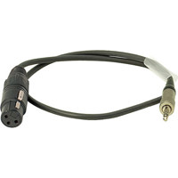 

Ambient Recording XLR-3F to 3.5mm TRS Screw Lock Adapter Cable with Evolution Wireless Line In