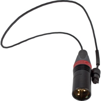 

Ambient Recording 16" 3-Pin XLR Male to 3-Pin Binder Cable for ASF-G Hydrophone
