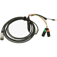 

Ambient Recording 13.1' Camera to Mixer Cable, 7-Pin XLR Female to Dual 3-pin XLR Male and Return Via TRS Mini Plug on Coiled Cord