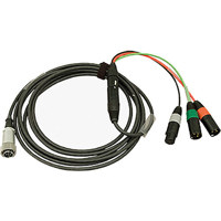 

Ambient Recording 13.1' Mixer to Camera Cable, 7-Pin XLR Female to Dual 3-Pin XLR Male and Return via 5-Pin XLR Female