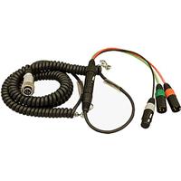 Image of Ambient Recording 4.6-16.4' Hirose 10-pin Male to 7-pin XLR Male Coiled Breakaway Cable with HBY7-5 Y-Cables