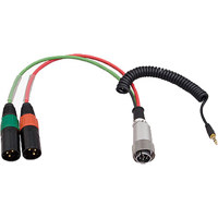 

Ambient Recording 10-pin Hirose Male to Dual 3-pin XLR Male Breakout Cable, 3.5mm TRS Mini Plug