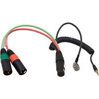 Image of Ambient Recording Breakout Cable with BNC Plug for TC