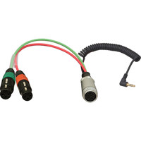 

Ambient Recording Inverse Breakout Cable, Hirose 10-pin Female to Dual 3-pin XLR Female, 3.5mm TRS Mini Right-Angled Plug