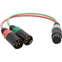 

Ambient Recording 0.82' XLR-5 Female to 2x XLR-3 Male Stereo Adapter Cable, Red/Green