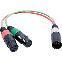 

Ambient Recording 0.82' 2x3-pin XLR Female to 5-pin XLR Male Stereo Adapter Cable, Red/Green