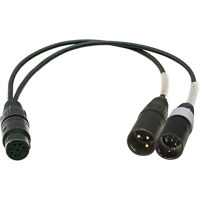 

Ambient Recording 10" 7-pin XLR Female to 3-pin XLR Male and 5-pin XLR Male Double-MS Breakout Adapter Cable