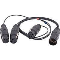 Image of Ambient Recording 10&quot; 3x XLR-3F to 7-pin XLR Male Double MS Breakout Adapter Cable