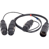 

Ambient Recording 10" 3x XLR-3F to 7-pin XLR Male Double MS Breakout Adapter Cable