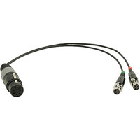 

Ambient Recording 24" XLR-5 Female to 2x TA-3F Stereo Cable Adapter