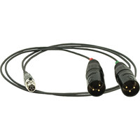 

Ambient Recording 24" TA5F to 2x XLR3M Balanced Adapter Cable