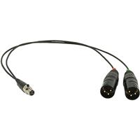 Image of Ambient Recording 15&quot; TA3F to 2x XLR-3M Unbalanced Adapter Cable for Sound Devices 442/302