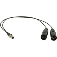 

Ambient Recording 15" TA3F to 2x XLR-3M Unbalanced Adapter Cable for Sound Devices 442/302