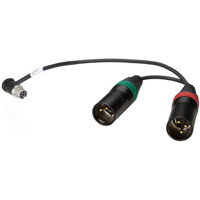 

Ambient Recording 13.8" TA5F90L Side-Exit to Double 3-Pin XLR Male V-Mount Chassis Adapter Cable for VSLOT Slide-In Module