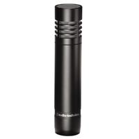 

Audio-Technica AT2021 Cardioid Condenser Microphone