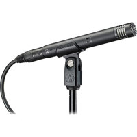

Audio-Technica AT4053b End Address Hypercardioid Condenser Microphone