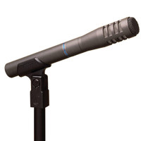 

Audio-Technica AT8033 Fixed Charge Condenser Microphone