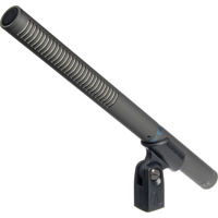 

Audio-Technica AT897 Line + Gradient Condenser Microphone