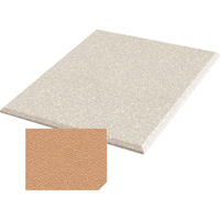 

Auralex 2x24x24" Fabric-Wrapped Acoustical Absorption ProPanel with 4 Cloud Anchors, Beveled Edge, Mesa
