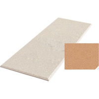 

Auralex 2x24x48" Fabric-Wrapped Acoustical Absorption ProPanel with 4 Cloud Anchors, Beveled Edge, Mesa