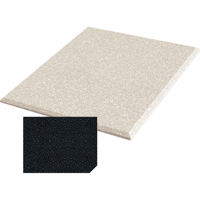 

Auralex 2x48x48" Fabric-Wrapped Acoustical Absorption ProPanel with 4 Cloud Anchors, Beveled Edge, Ebony