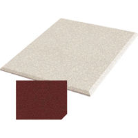

Auralex 2x48x48" Fabric-Wrapped Acoustical Absorption ProPanel with 4 Cloud Anchors, Beveled Edge, Henna