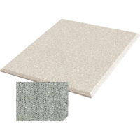 

Auralex 2x48x48" Fabric-Wrapped Acoustical Absorption ProPanel with 4 Cloud Anchors, Beveled Edge, Petoskey