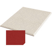 

Auralex 2x48x48" Fabric-Wrapped Acoustical Absorption ProPanel with 4 Cloud Anchors, Beveled Edge, Poppy