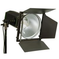 

Alzo Digital 3000 High Intensity Daylight LED Video and Photo Light with 4x Vane Barndoors