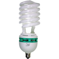 

Alzo Digital 85 Watt Fluorescent Photo Bulb, 5500K Color Temperature