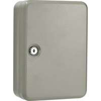 

Barska 48 Position Key Safe with 48 Colored Key Tags