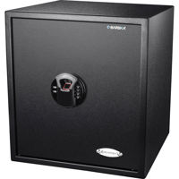 

Barska HQ400 1.94 Cubic Foot Large Biometric Keypad Safe