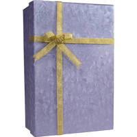 

Barska Gift Box Safe with Key Lock